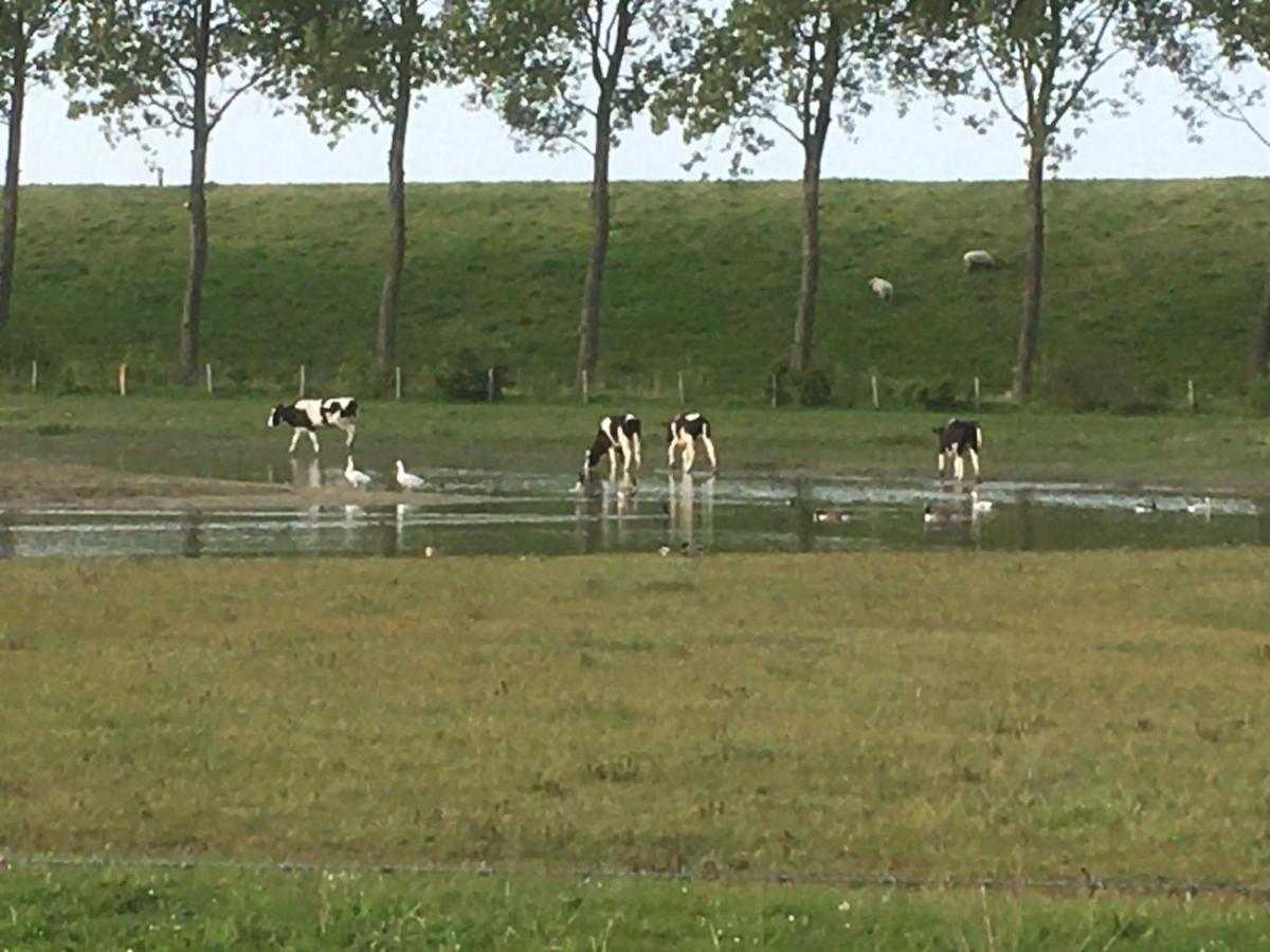Appartement De Graanzolder Aan Zeeuwse Kust Hoofdplaat Zewnętrze zdjęcie