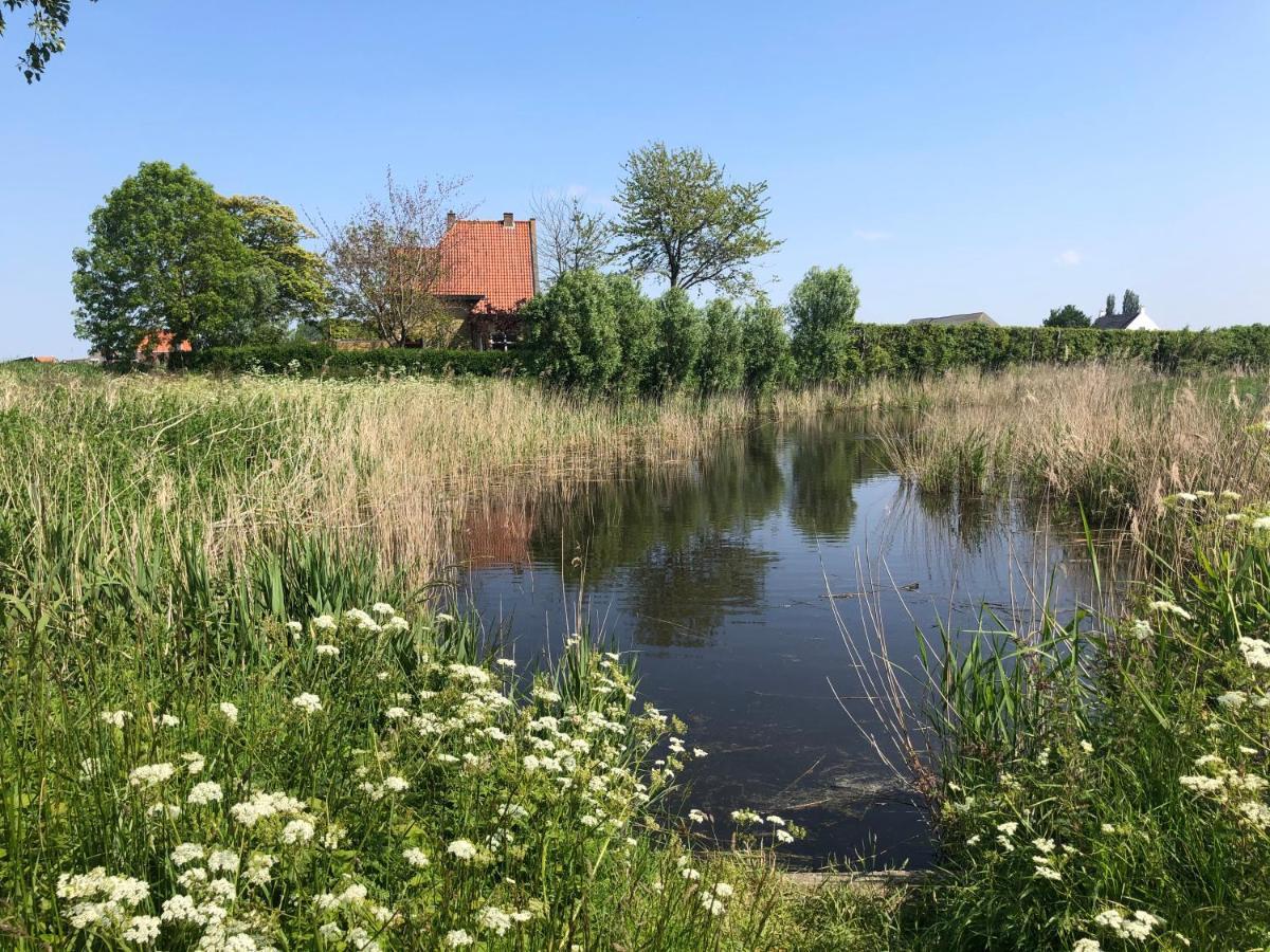 Appartement De Graanzolder Aan Zeeuwse Kust Hoofdplaat Zewnętrze zdjęcie