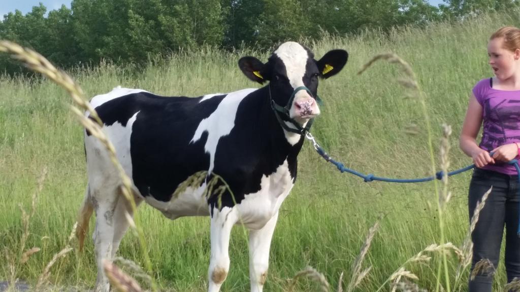 Appartement De Graanzolder Aan Zeeuwse Kust Hoofdplaat Zewnętrze zdjęcie